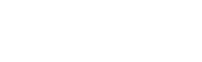 PAVISE